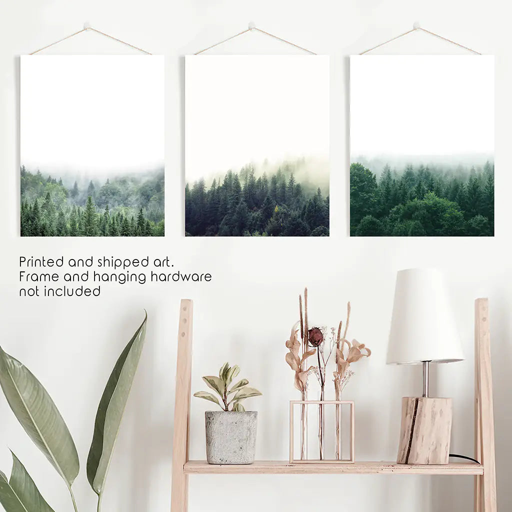 Modern Minimalist Forest Photography. Nordic Wall Art Set