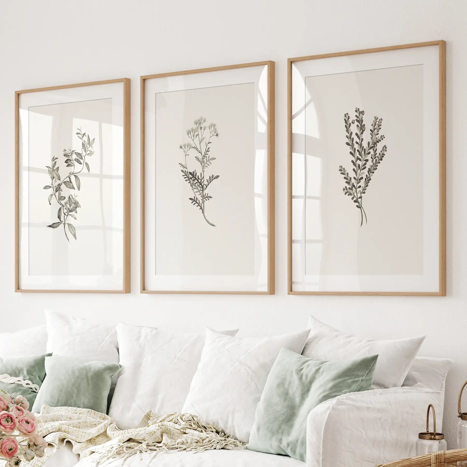 Vintage Home Decor. Botanical Wall Art Set by Sydney Parkinson