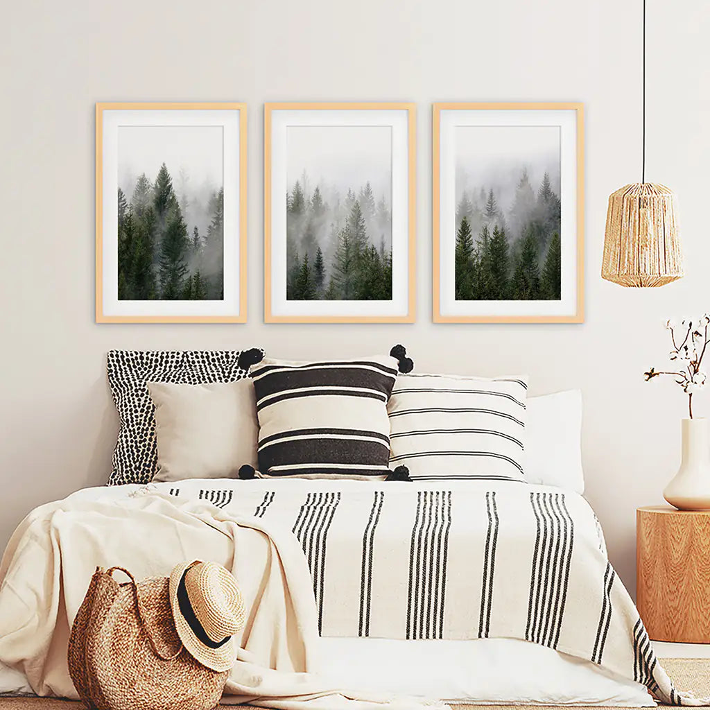Green Pine Tree Forest. Foggy Nature Wall Art Prints