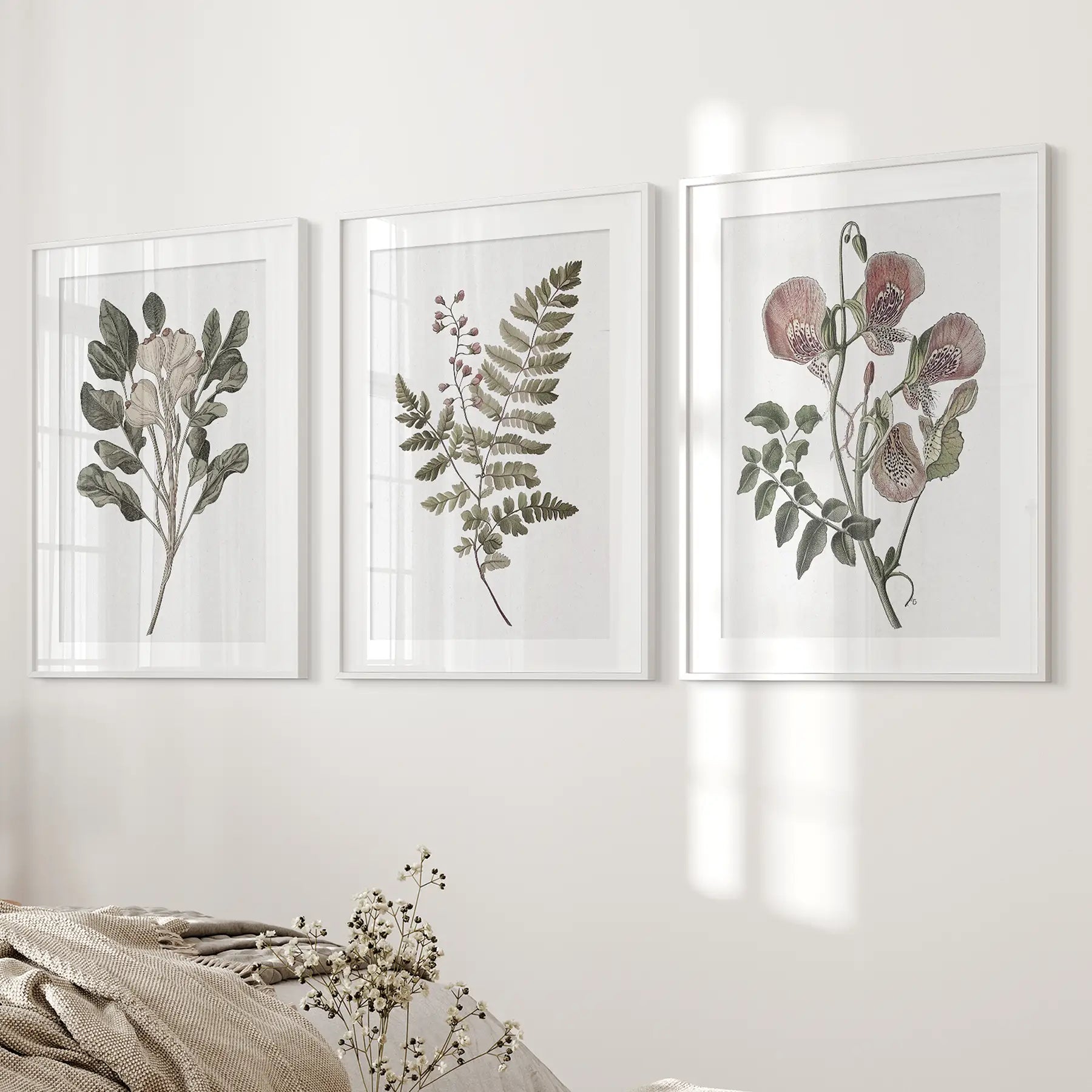 Floral Plant Vintage Decor. Botanical Neutral Art