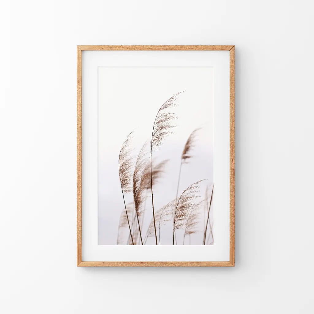 Beige Dried Grass Print. Summer Field