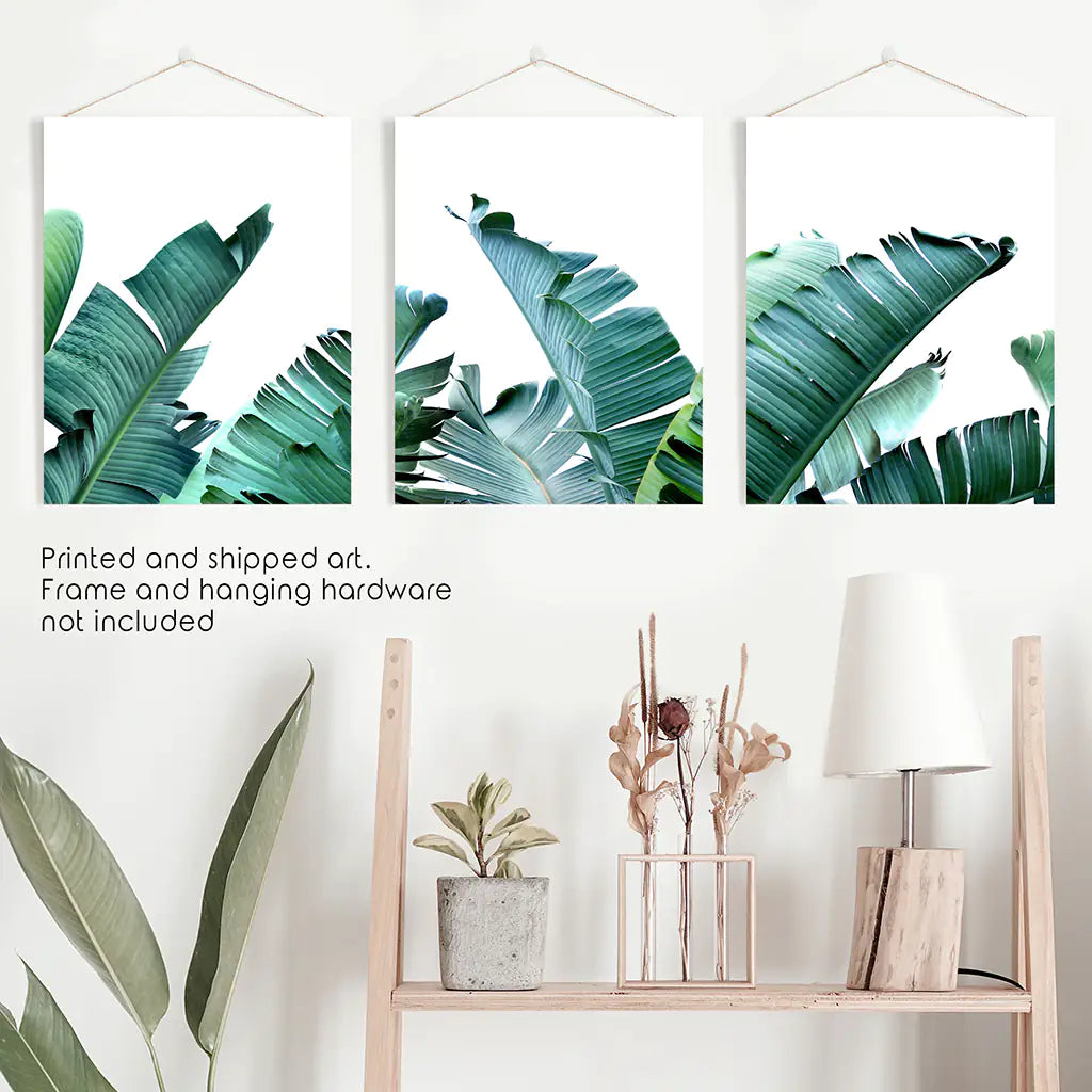 Green Banana Leaves 3 Piece Set. Tropical Wall Art