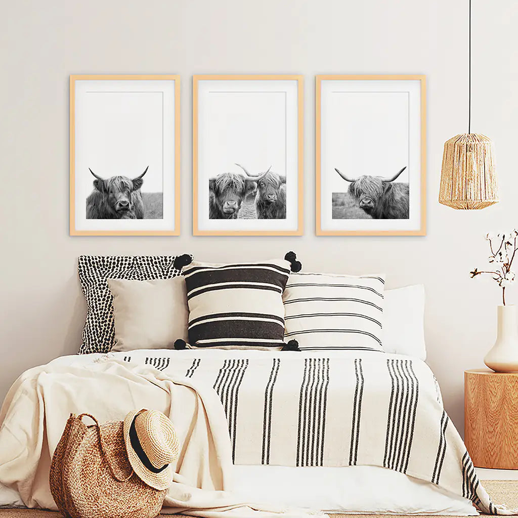 Black White Highland Cow Photo. 3 Piece Wall Art