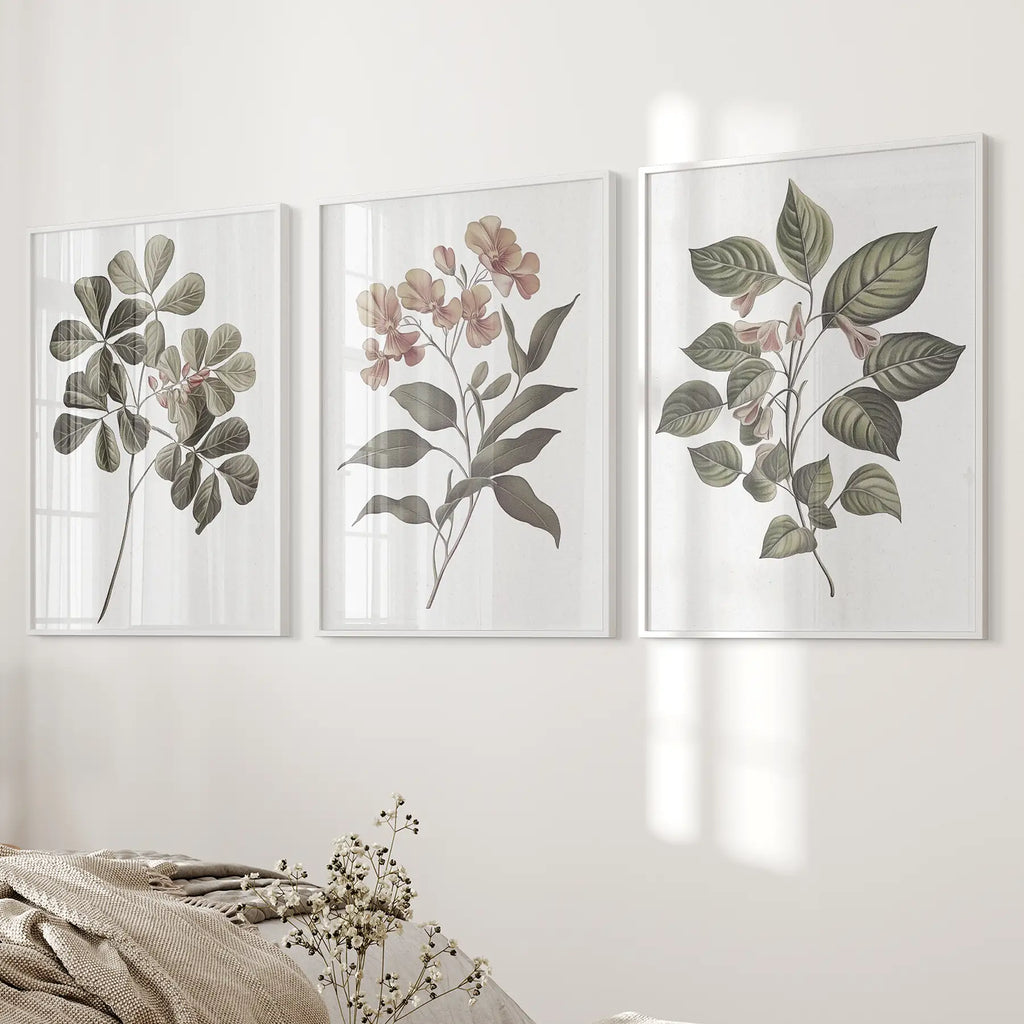 Rustic Botanical Wall Art. Vintage Flowers Prints