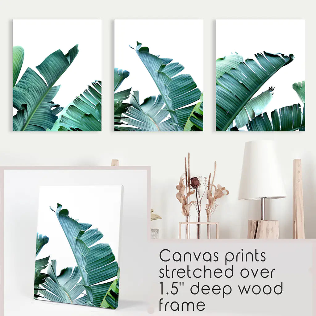 Green Banana Leaves 3 Piece Set. Tropical Wall Art